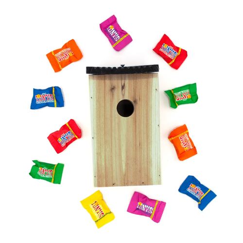 Fuglehus med Tiny Tony's - Billede 2